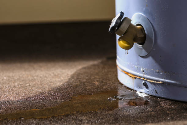 Best Basement water damage restoration  in Cold Spring Harbor, NY