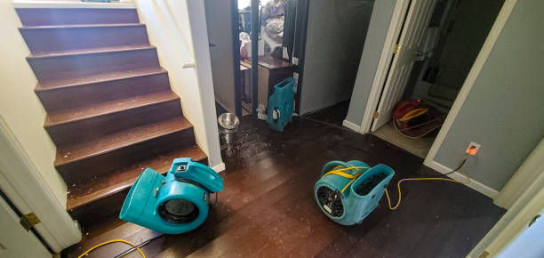 Best Basement water damage restoration  in Cold Spring Harbor, NY