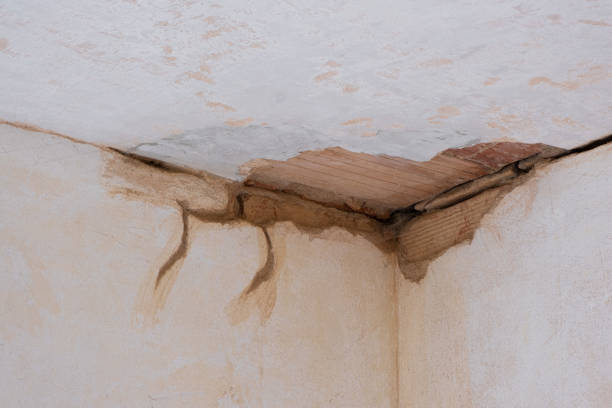 Best Flood damage cleanup  in Cold Spring Harbor, NY