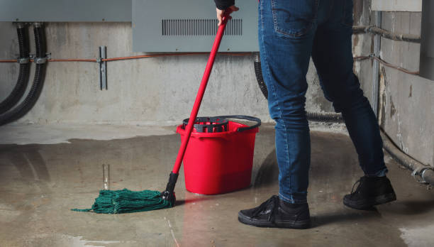 Best Professional water damage repair  in Cold Spring Harbor, NY