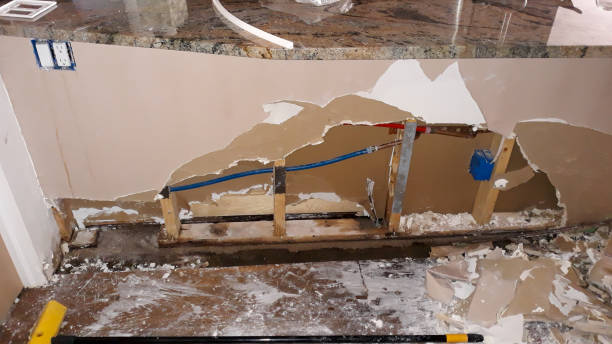 Best 24/7 water damage repair  in Cold Spring Harbor, NY