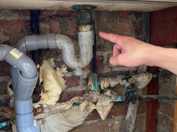 Best Ceiling water damage repair  in Cold Spring Harbor, NY