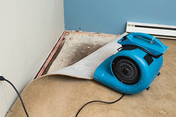 Best 24/7 water damage repair  in Cold Spring Harbor, NY